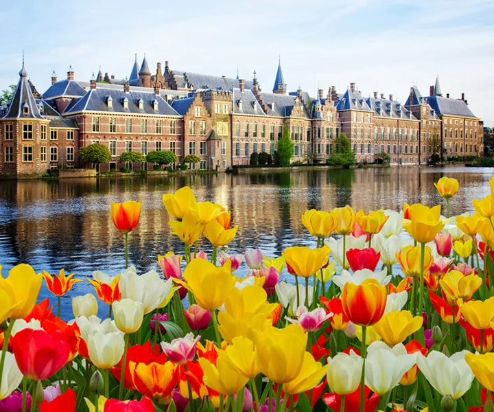 Famous image of netherland